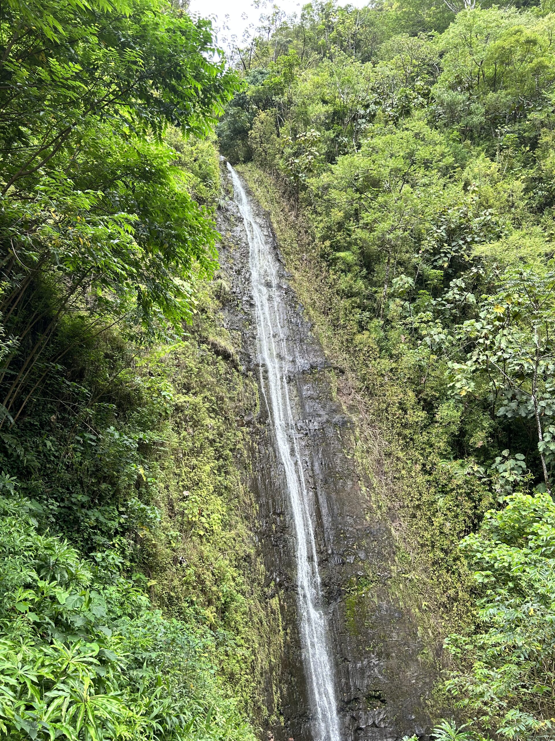 Planning a Family Trip to Hawaii: Oahu and the Big Island